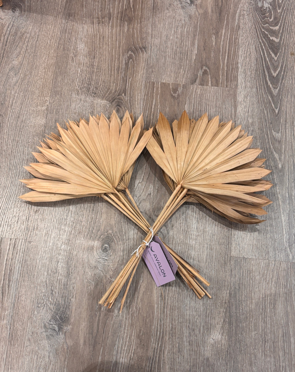 Dried Natural Palm, Spear Cut