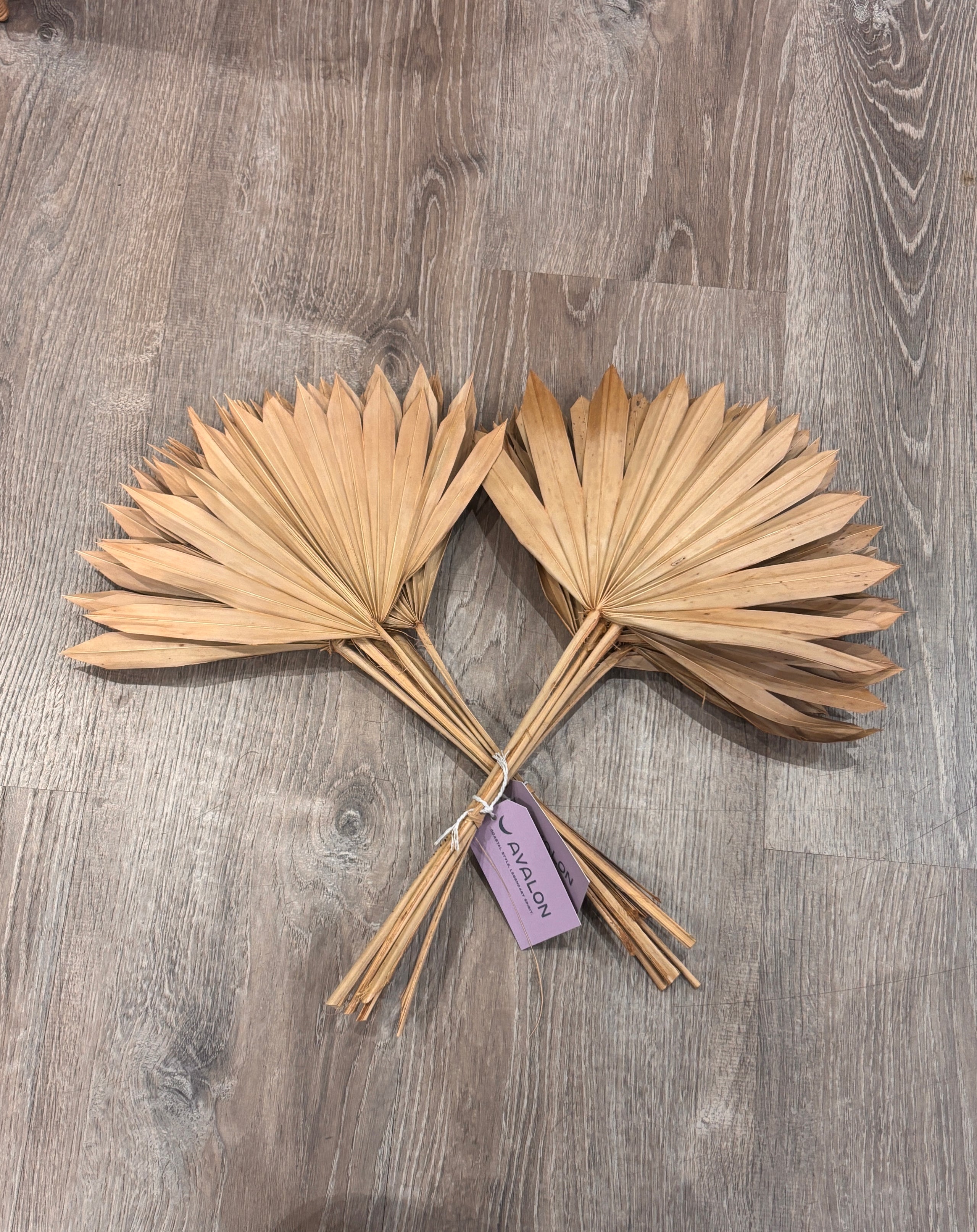 Dried Natural Palm, Spear Cut