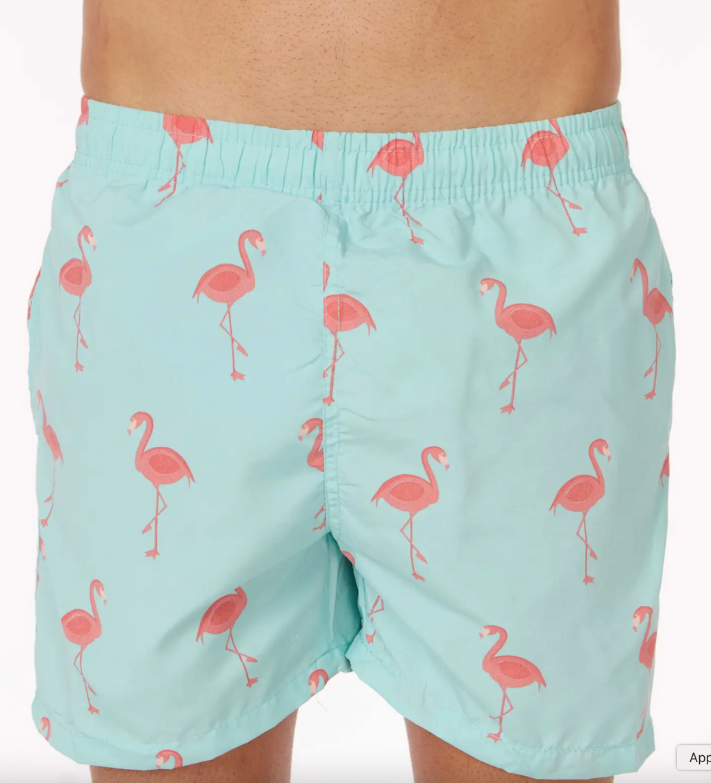 Flamingo Swim Shorts