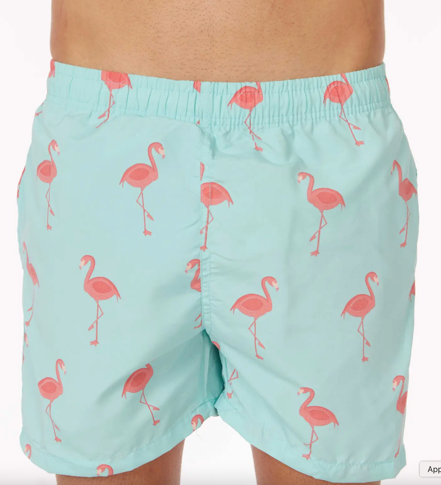 Flamingo Swim Shorts