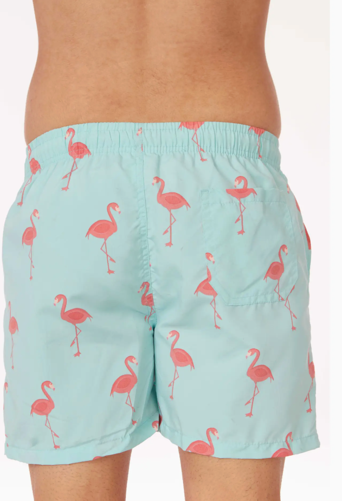 Flamingo Swim Shorts