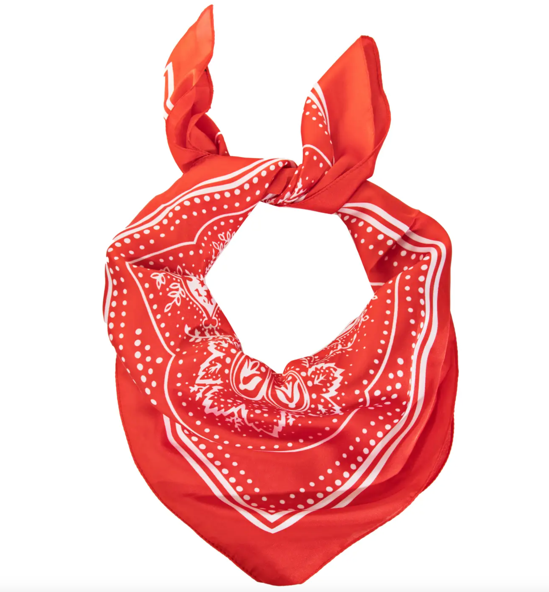 Paisley Design Scarf